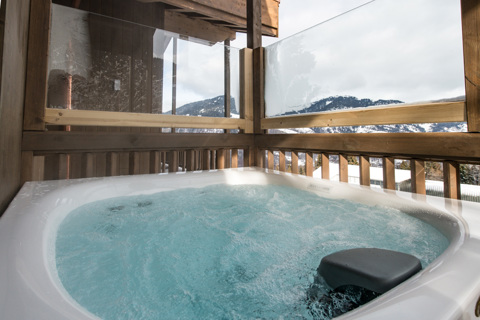 Yellowstone Lodge, La Tania (self catered chalet) - Chalet 1