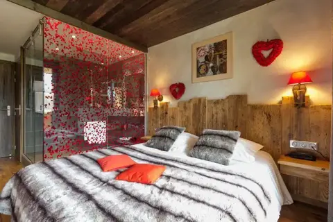 Cote Brune, Les 2 Alpes (hotel) - Typical superior south facing with shower