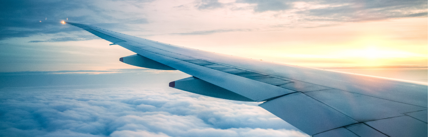 Flying To The Alps