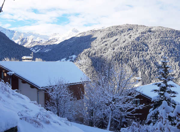 Les Chalets Des Deux Domaines, Peisey Vallandry (Self Catered Chalets) (2)