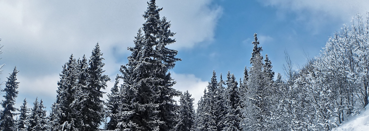 Peisey Vallandry 2