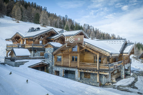Chalets Cocoon, Plagne 1800 (self catered chalet)