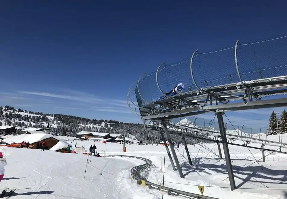 Chalet des Cimes, Les Saisies (self catered apartments) - Mountain coaster by residence
