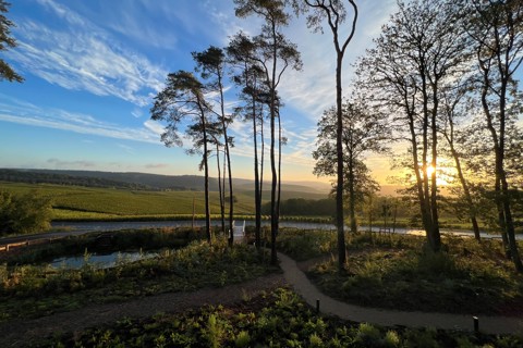 Loisium Hotel View Peak Retreats