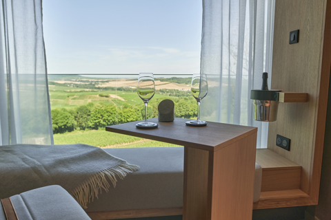 A view from Loisium hotel