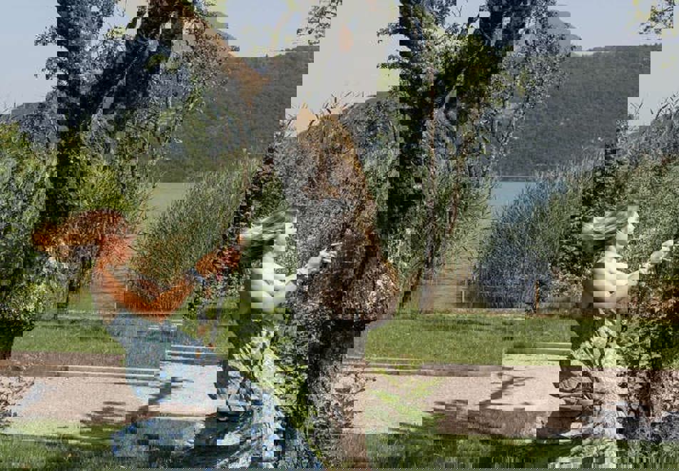 Villa Caroline, Lake Annecy - Large garden area