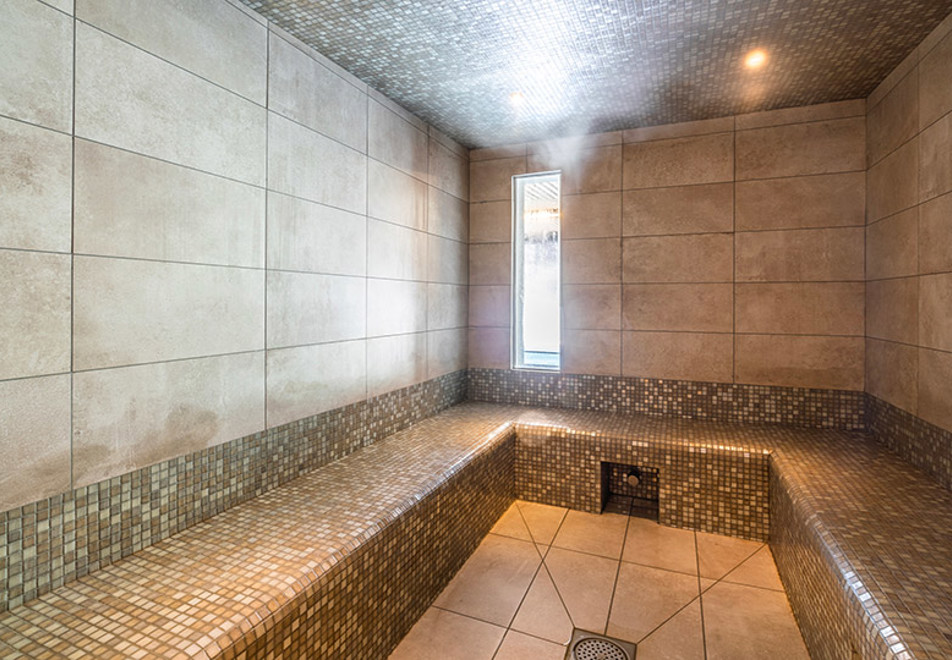 Les Ecrins d'Auris, Auris en Oisans (self catered apartments) - Steam room