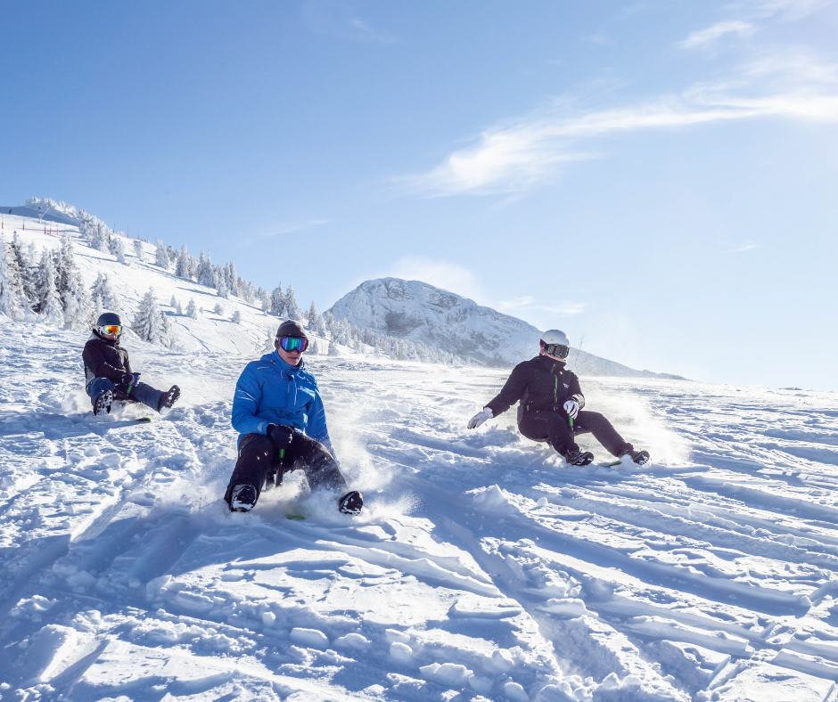 Villard3