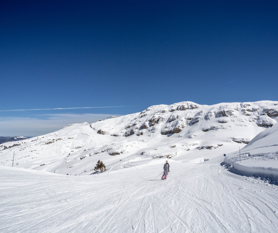 Villard2