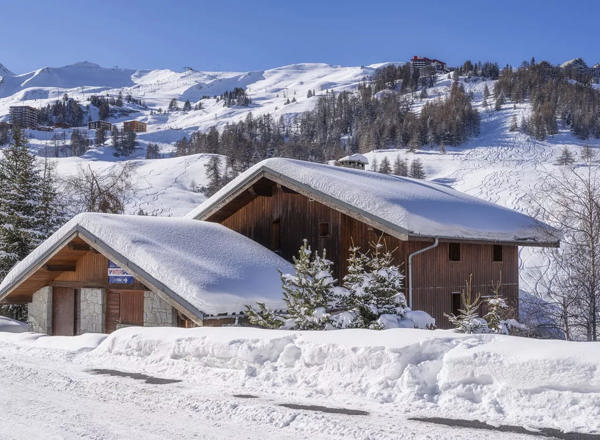 Tmpa883 Location Ski Plagne 1800 Chalet Arpette Lodge 1 (1)