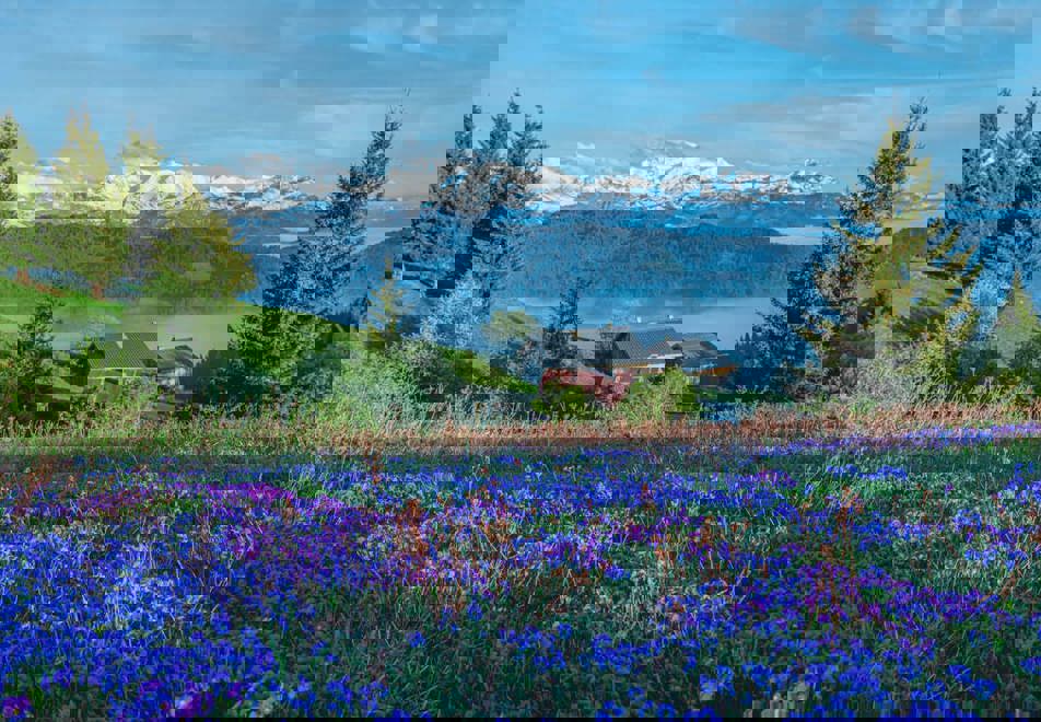 Les Gets - Stunning panorama