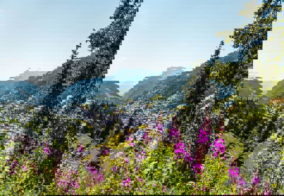 Les Gets - Stunning scenery