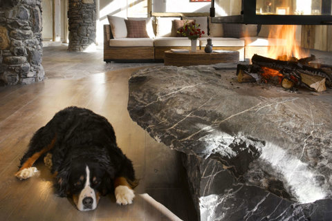 Holiday with Dog accomodation