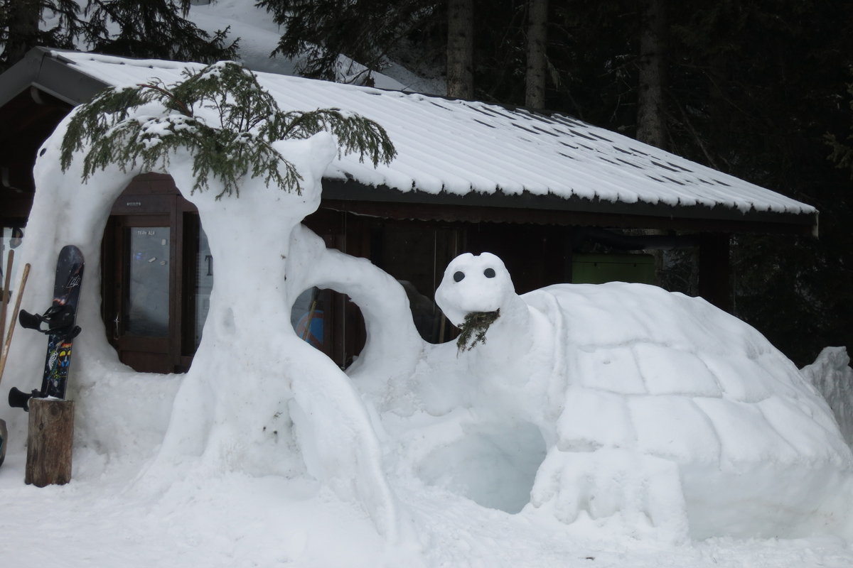 Skiing into Spring: Tortoise Igloo