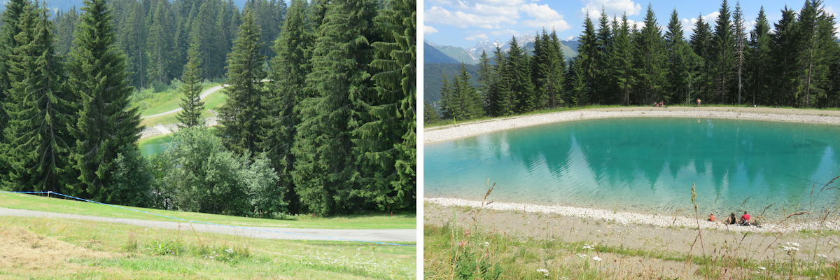 Client Review A summer holiday in  Les Gets