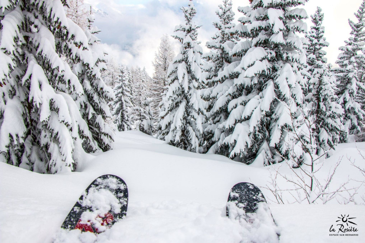 Whats New in the French Alps.png