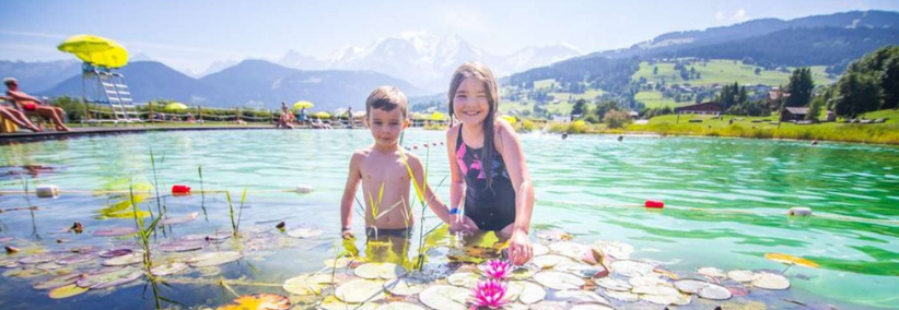 Summer in the Alps.png