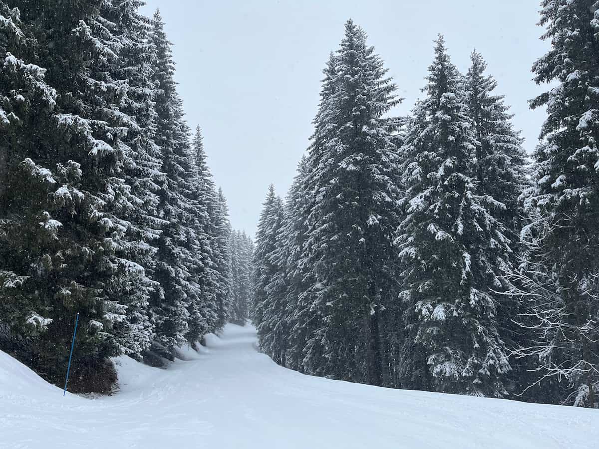 Blanchot Blue Piste Les Carroz ONLY For MF Blog